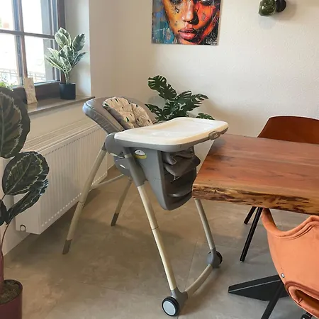 Schwarzwaldperle #10 Apartment