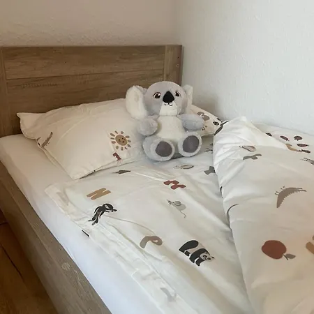 Schwarzwaldperle #10 Apartment Schwanau