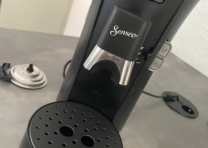 Apartment Schwarzwaldperle #10 Schwanau