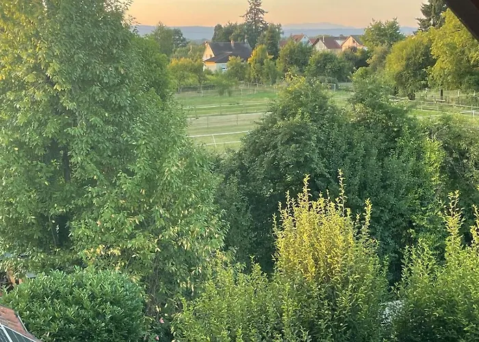 Apartment Schwarzwaldperle #10 *