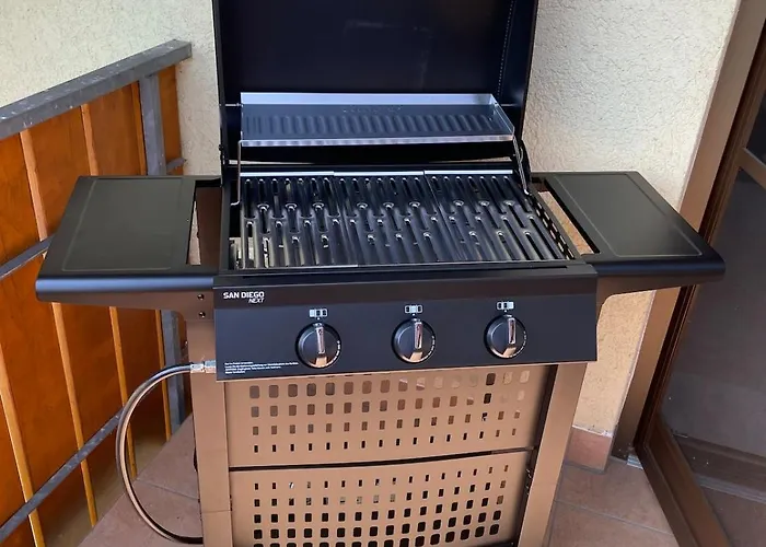 Schwarzwaldperle #10 Apartment