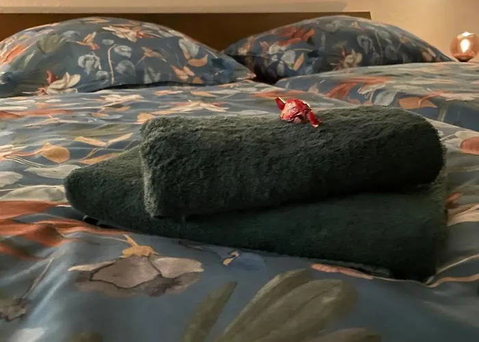 Apartment Schwarzwaldperle #10 Schwanau