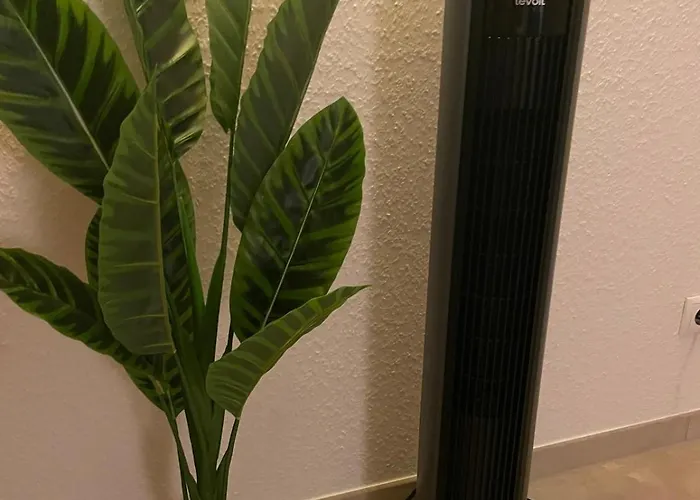 Schwarzwaldperle #10