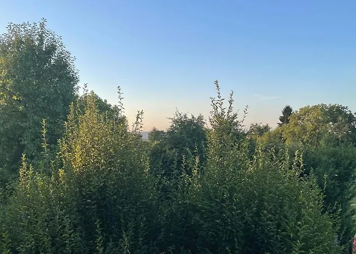 Schwarzwaldperle #10 Apartment