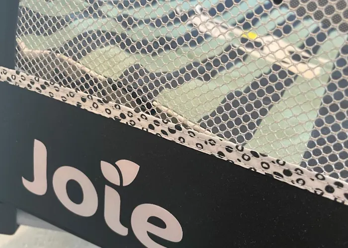 Schwarzwaldperle #10 Apartment