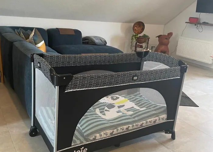 Apartment Schwarzwaldperle #10 Schwanau