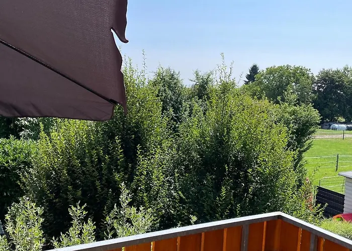 Schwarzwaldperle #10 Apartment