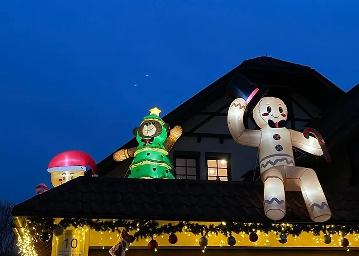 Schwarzwaldperle #10 Apartment Schwanau