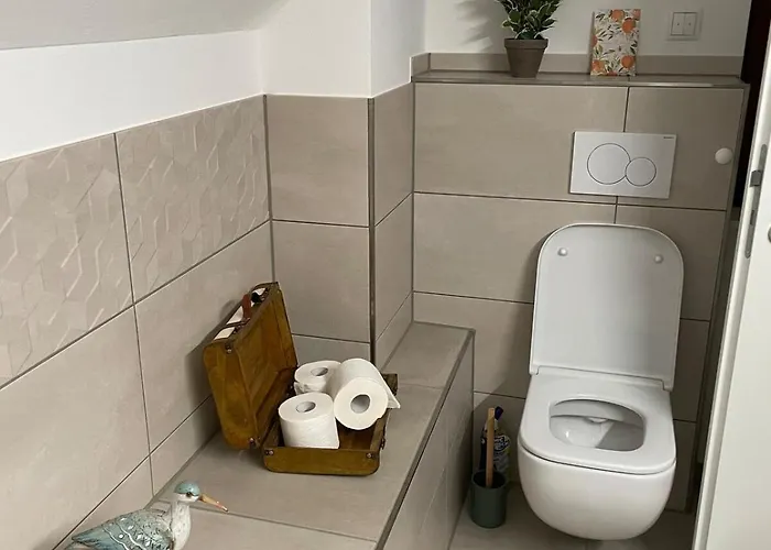 Schwarzwaldperle #10 Apartment *